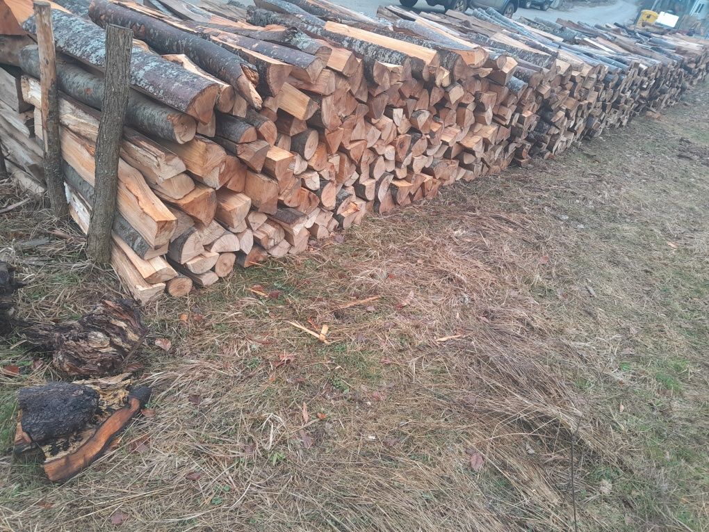 Vând lemne de foc esență tare