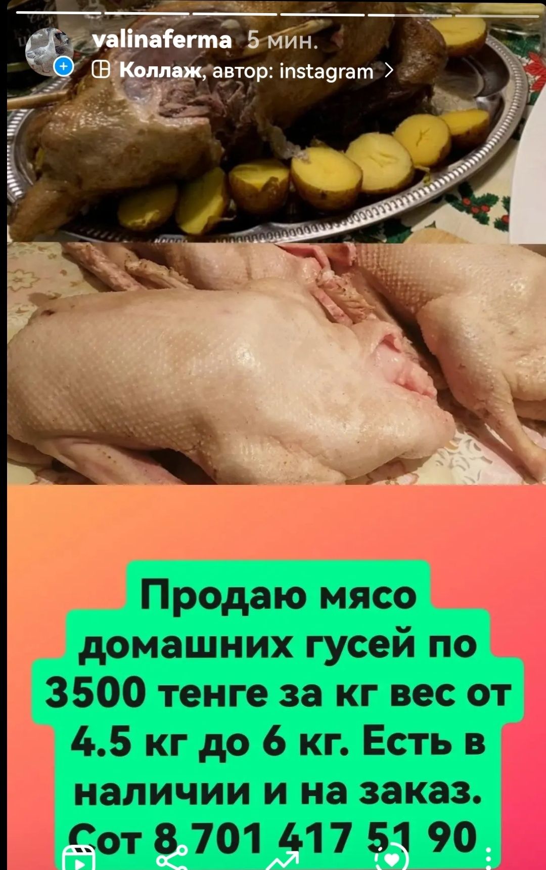 Продаю мясо домашних гусей.