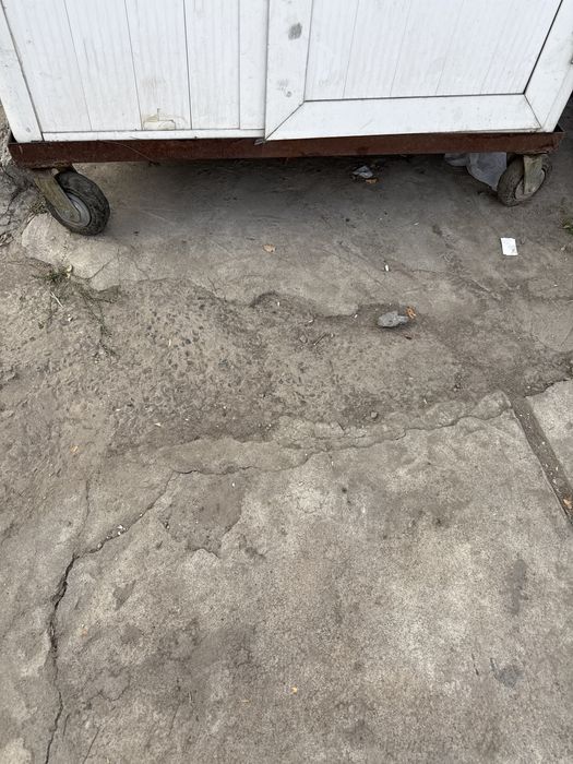 Butka sotiladi arzonga bervoramiza