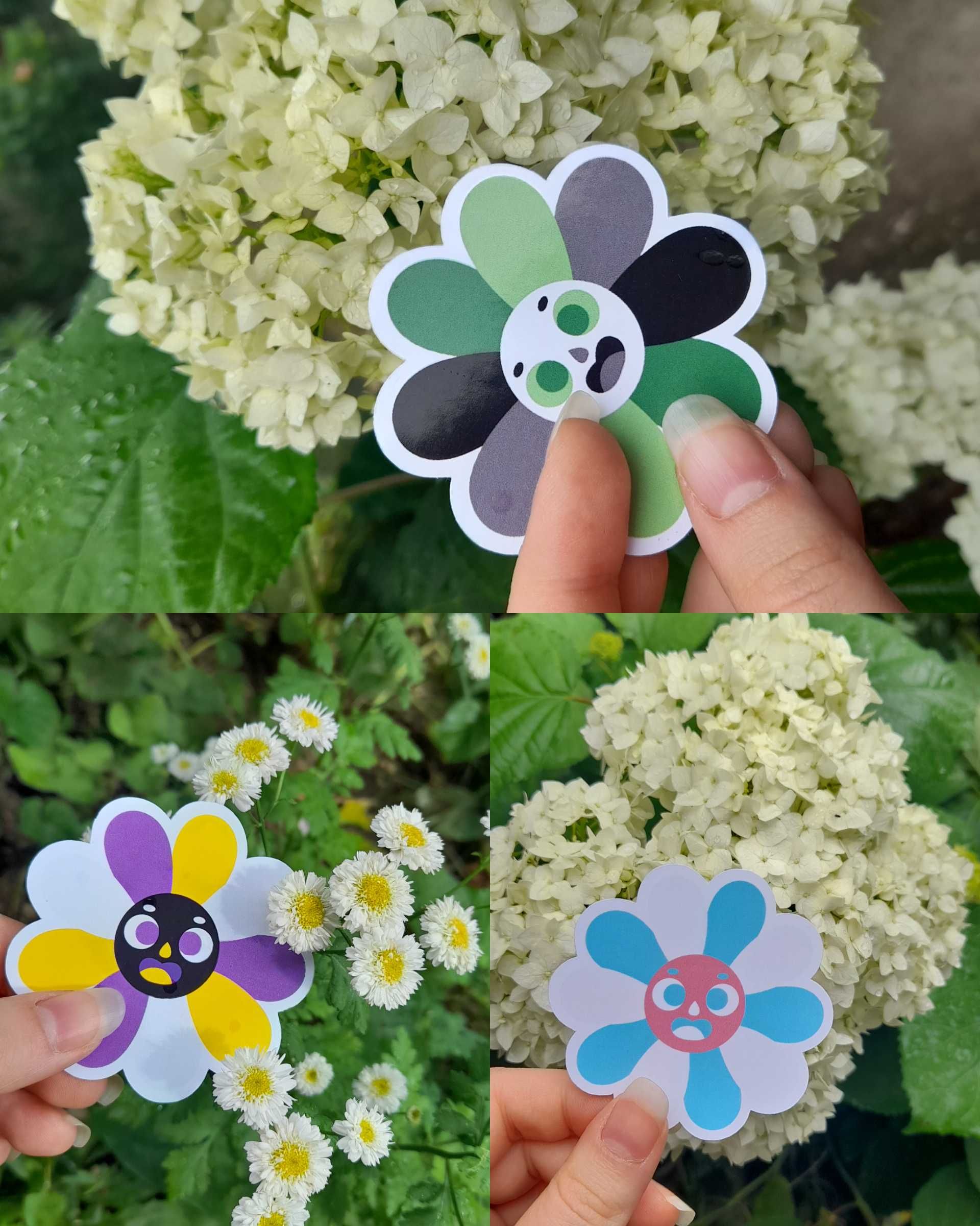 stickere flori colorate