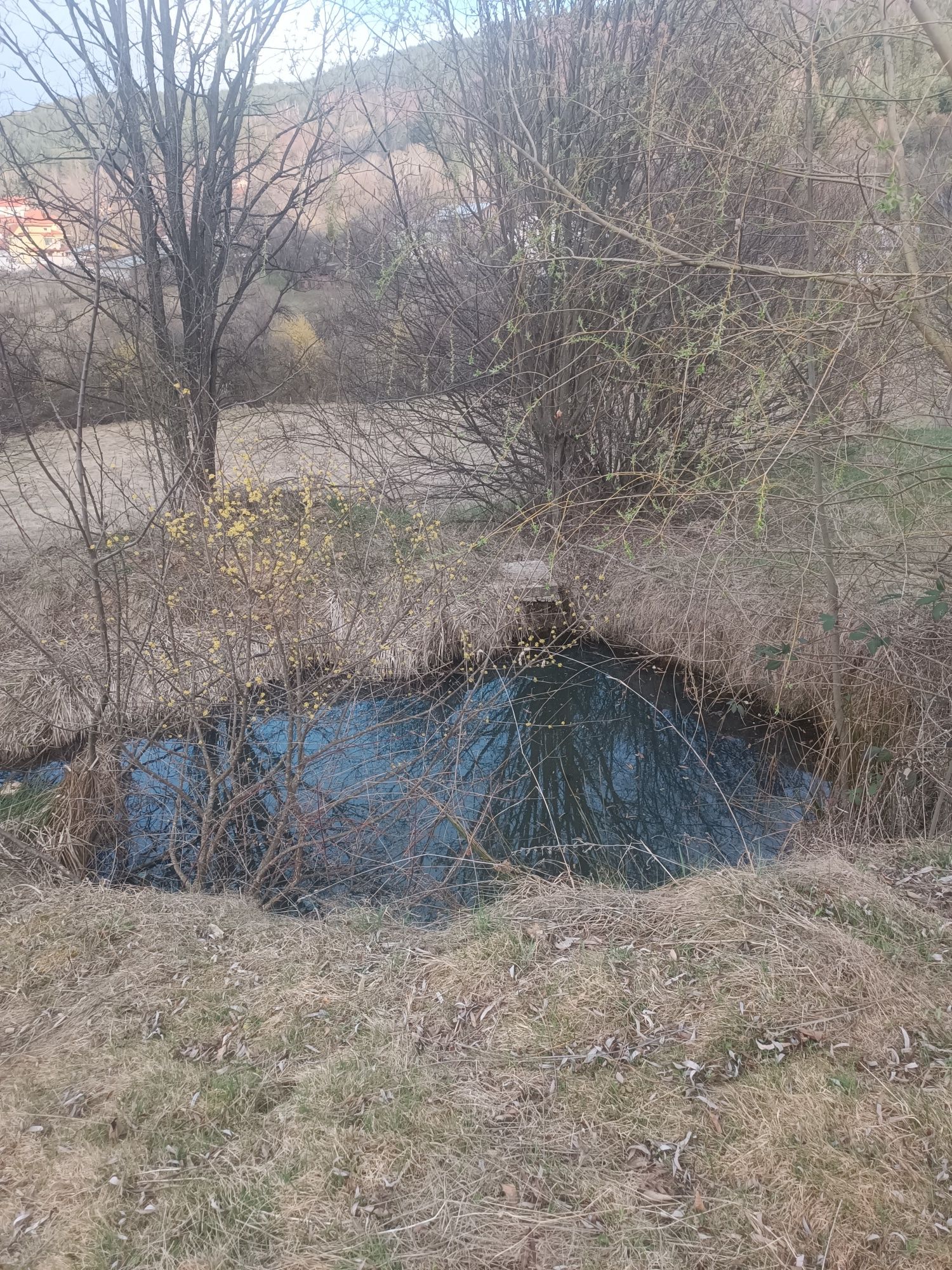Продавам овощна градина в Жиленци