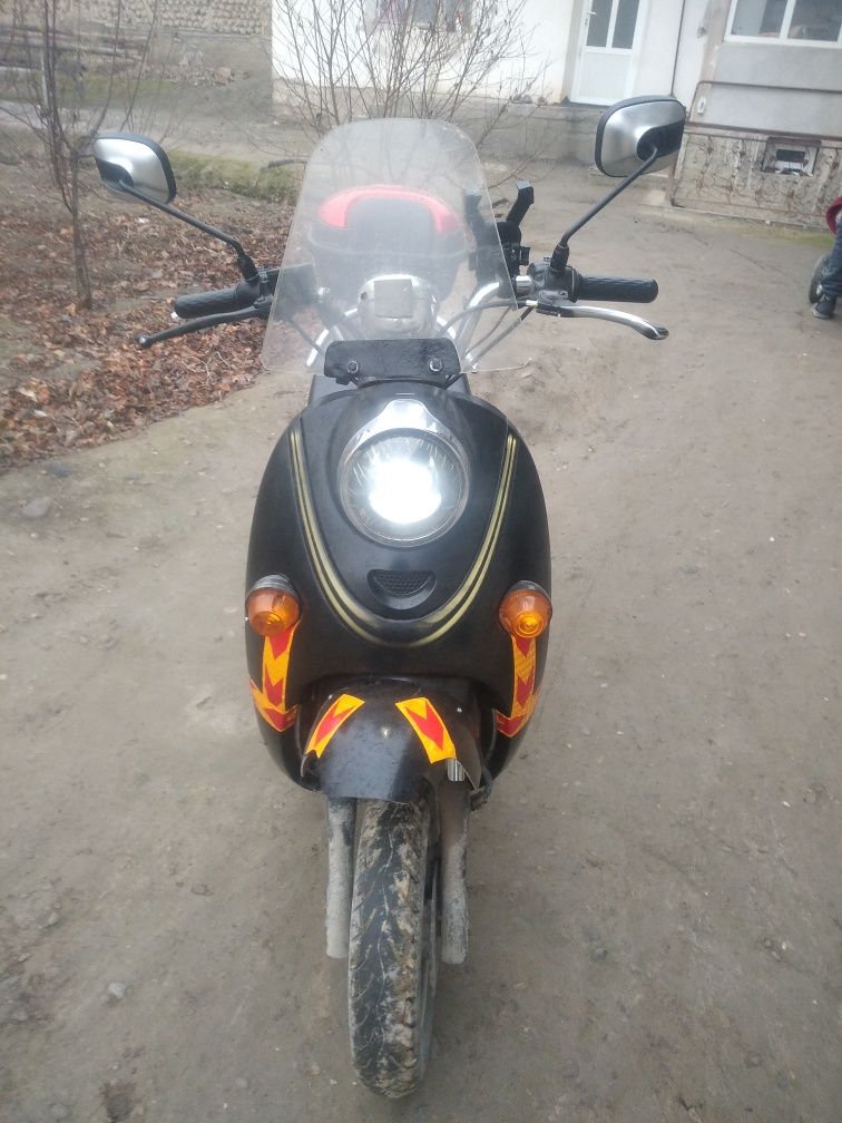 Elektr    skuter