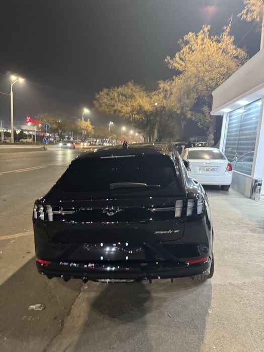 Ford mustang mach e
