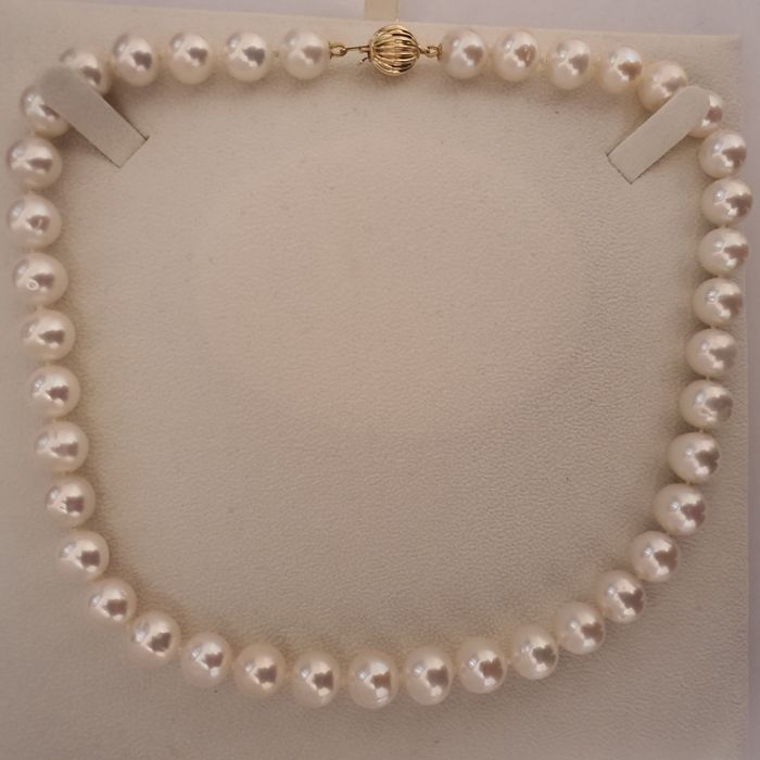 colier luxos perle naturale edison 11.5mm si aur 14k