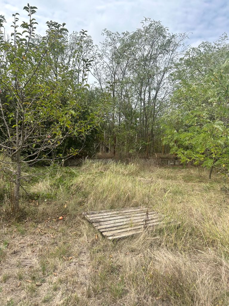 Продава се Парцел в Варна, м-т Боровец - север - 1290 кв.м за 36 €/кв.м - Снимка #1