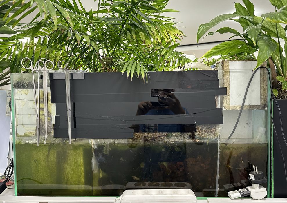 Продаю полидариум