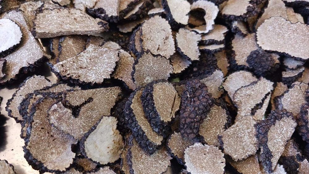 Лиофилизиран летен черен трюфел