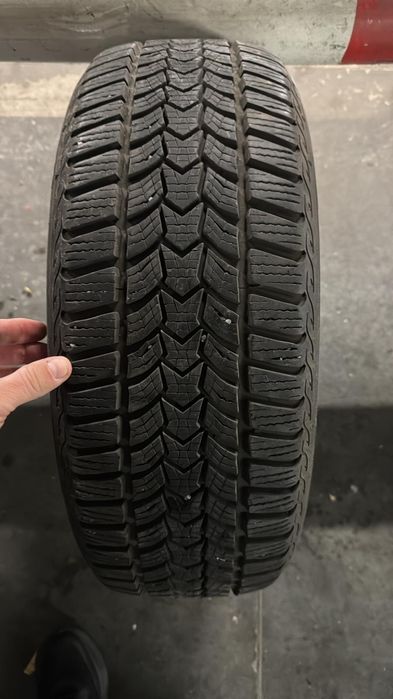 195 55 16 iarna Debica