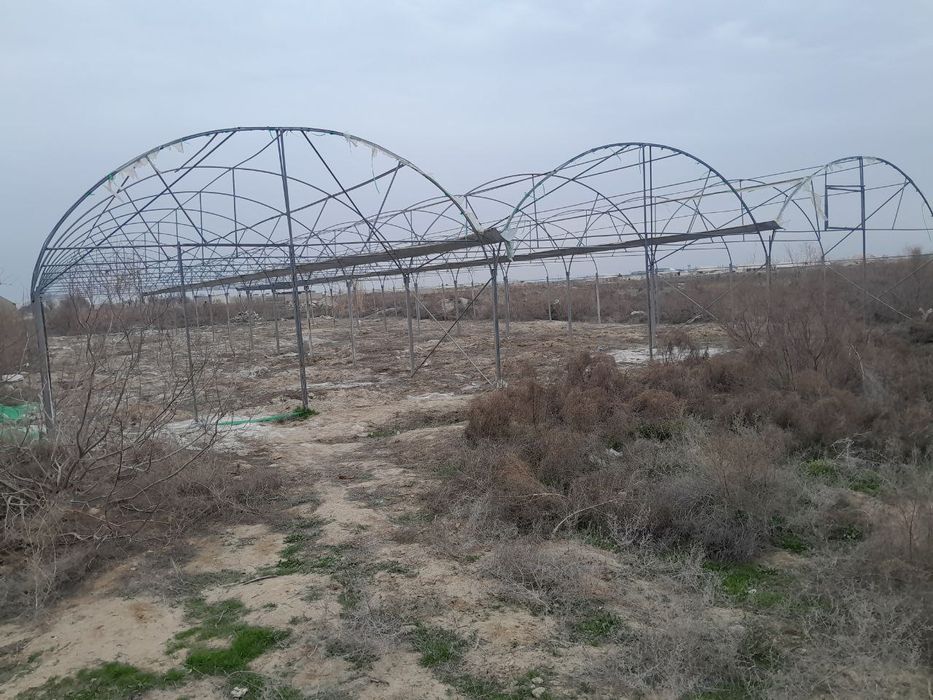 Срочно иссикхона сотилади