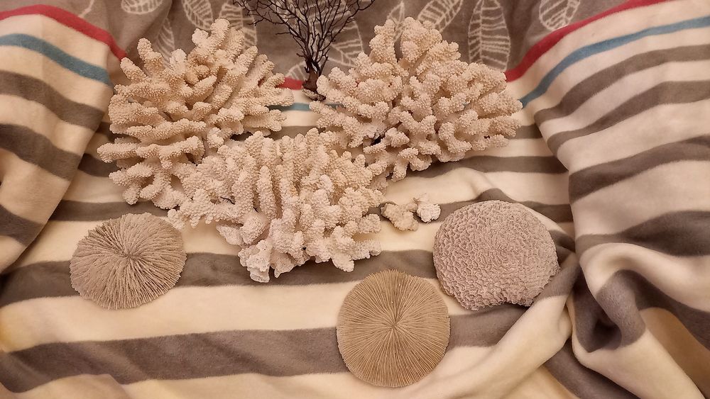 Грот и каралы для аквариума.