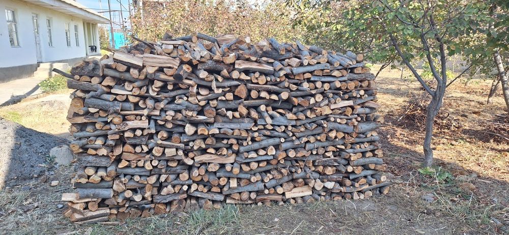 Мевали дарахтдан чиккан утин  сотилади