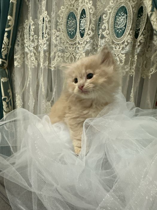 Мальчик красавчик