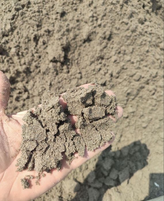 Chinoz qum чиноз кум оптим перичистлена бор