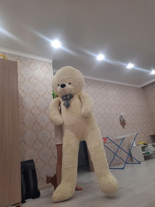 На подарок мишка новый