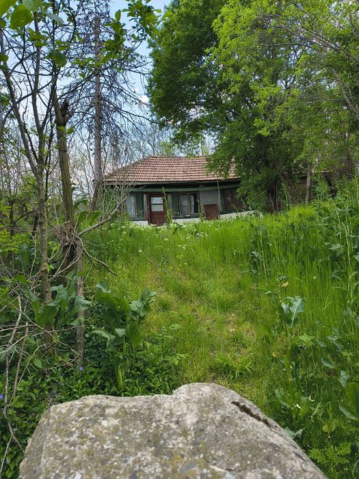Teren de vanzare