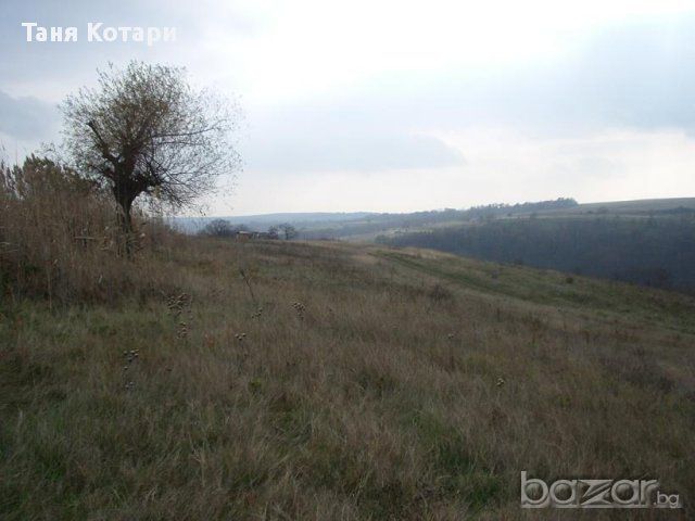 Продава се Парцел в с. Приселци, Област Варна - 3390 кв.м за 15 €/кв.м - Снимка #2