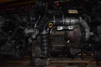 Motor T1DB 1.6 TDCI Focus 3 2013