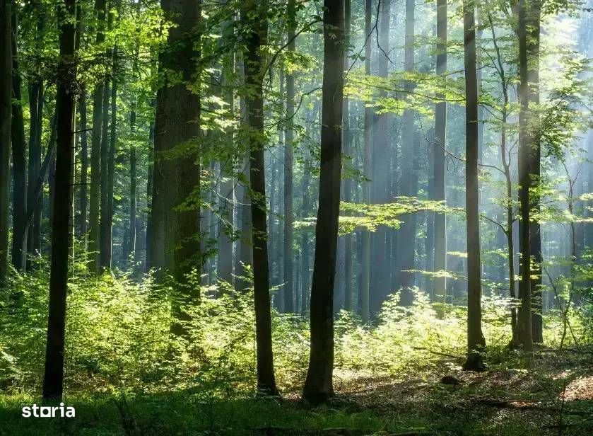 Apartament 3 Camere | Jandarmeriei Baneasa | Complex Rezidential LUX