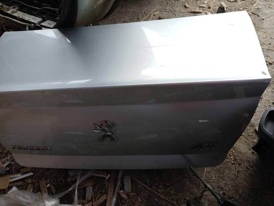 Haion Peugeot 407 2007