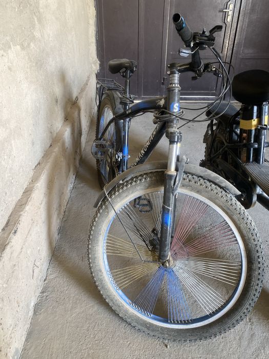 velosiped udar turibdi