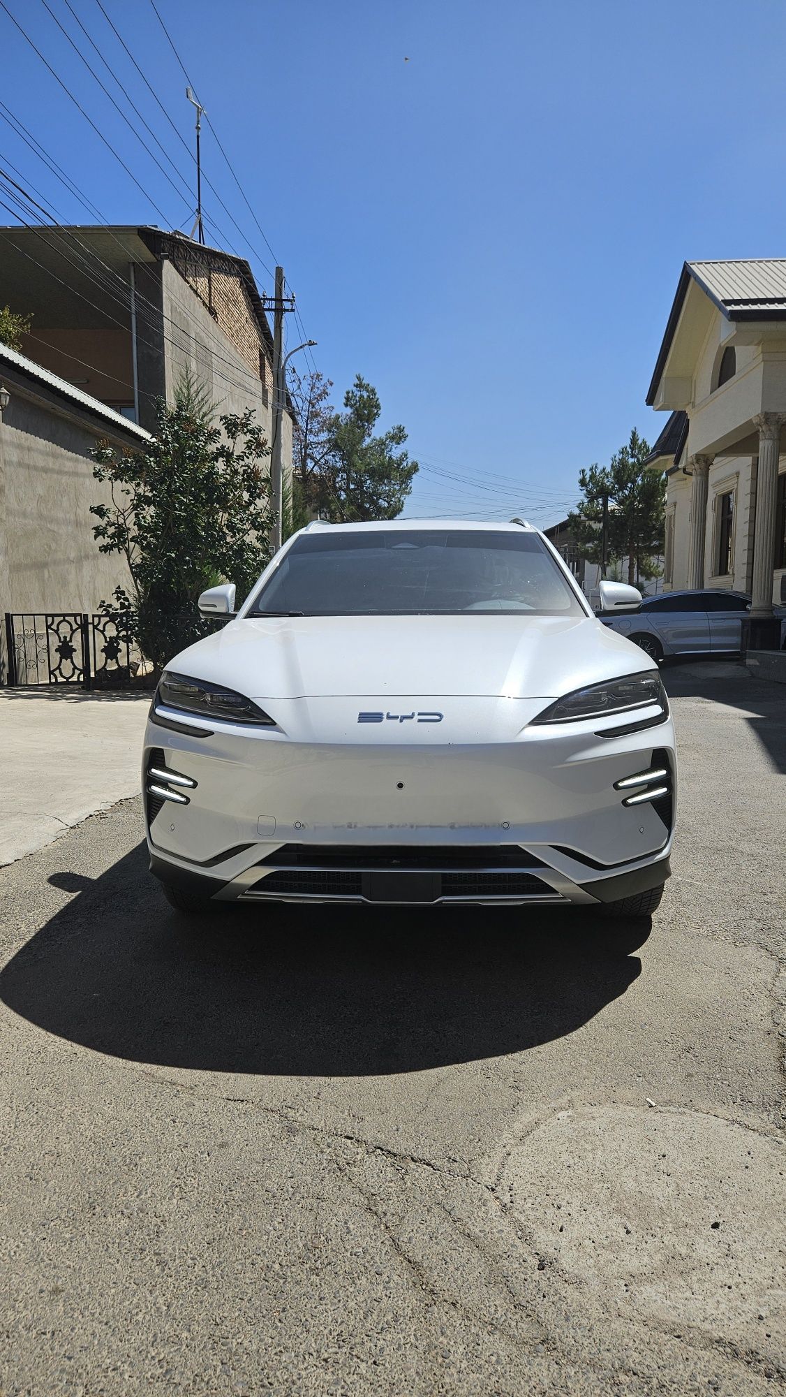 BYD Song Champion Honor edition