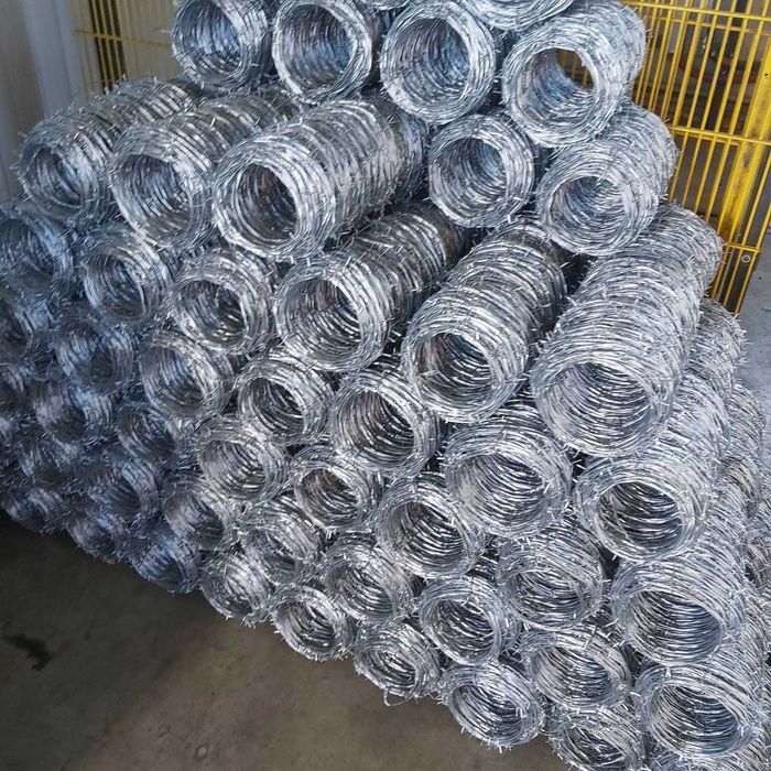 Sarma lamata Concertina/Nato