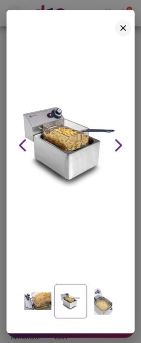 friteuza electrica profesionala