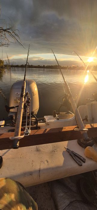 Barca Jaguar, motor Honda 40cp,2006