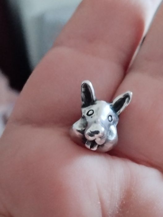 Charm din argint iepure dințat