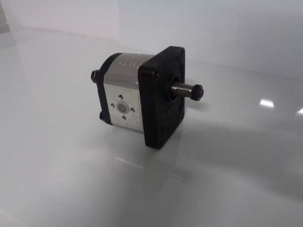 Pompa Landini 1000 1000 DT vigneti Class Dominator  Massey 3539857M91