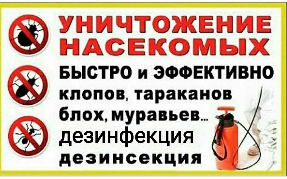 Дезинфекция клапа клопа от таракан Дизинфексия