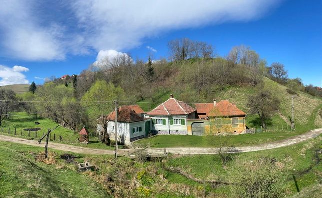 2 proprietati/casa/case in Poiana Sibiului