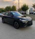 Neta L 310 km 2024