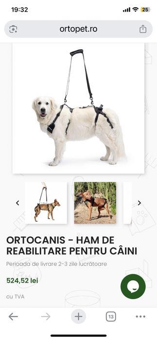 Ham pt. catei cu displazie de sold sau artrita