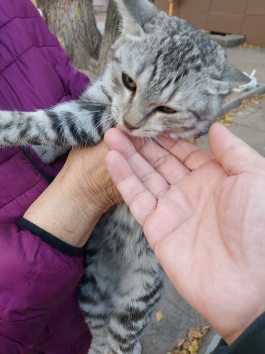 Йося ищет любящий дом!