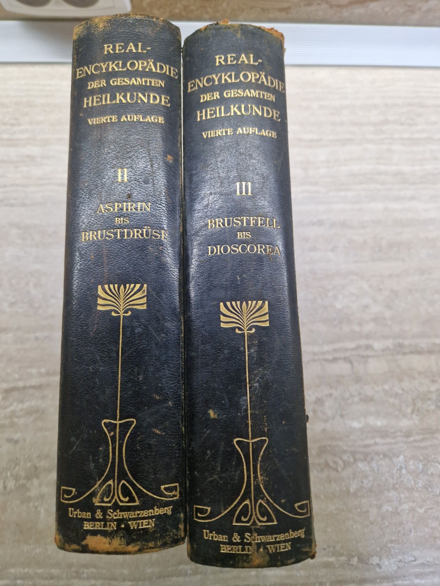 Lot 2 enciclopedii medicale 1907-1908 scrie în Viena și semnate