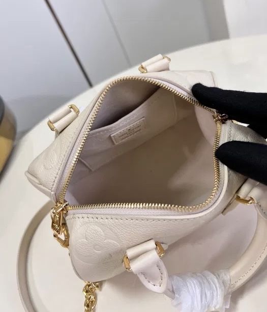 Louis Vuitton Speedy 20