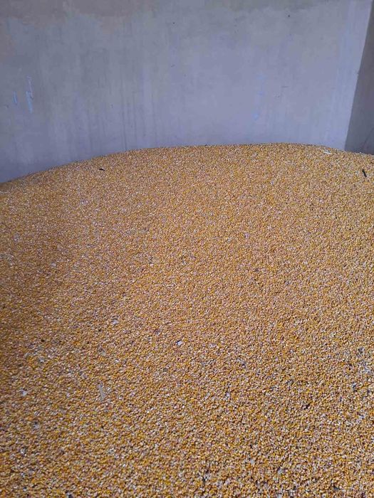 Продавам царевица и жито