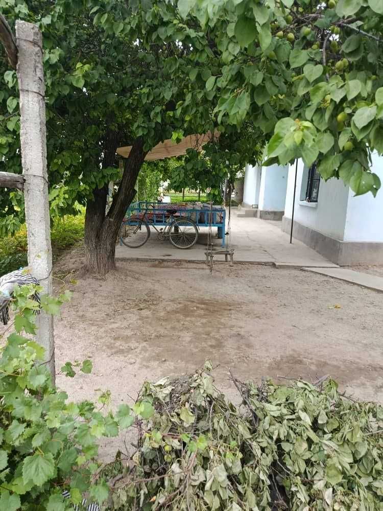 Hovli uy sotiladi Toshkent v. Bo'ka t.  yam-yachil hududdan