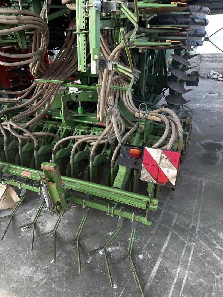 Vind semanatore amazone