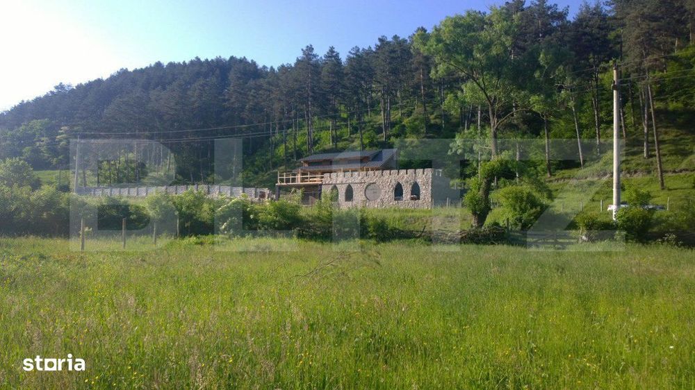 Oportunitate!!! Casa individuala la rosu, 247 mp, Teren 5000 mp in Sur