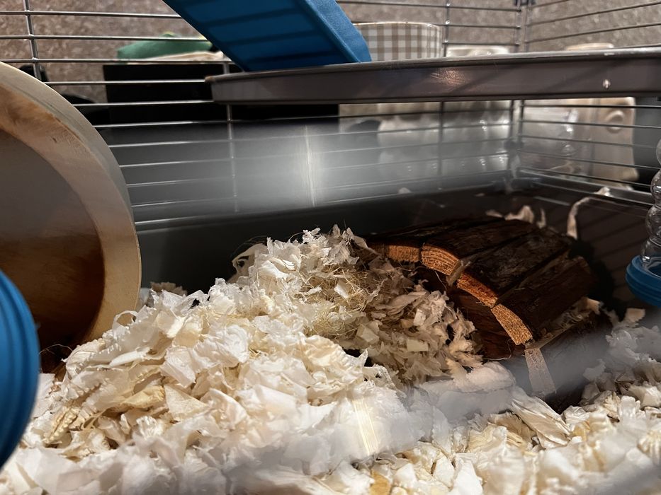 Hamster si cusca