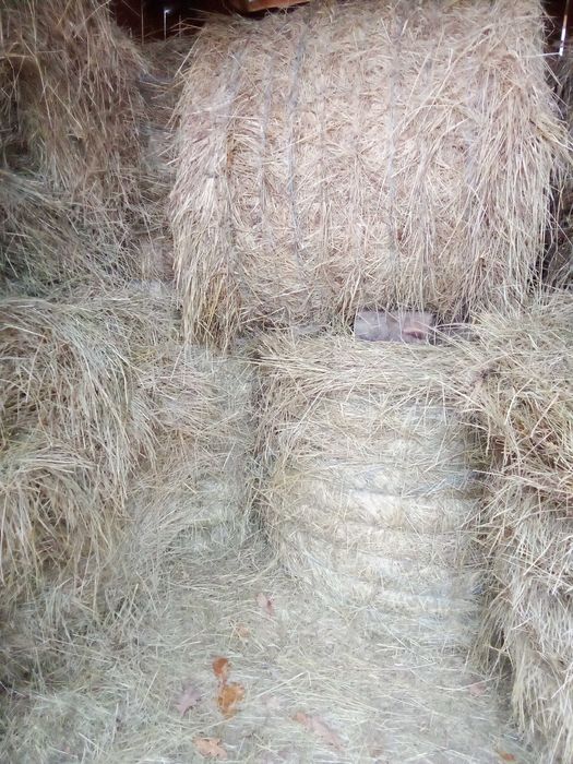 Vând baloți de fân moale