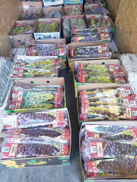 butasi de fructe de padure ambalati si etichetati