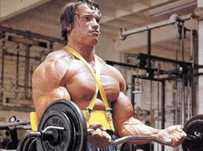schmb vand bara z cu discuri 50kg + adaptor biceps in iasi