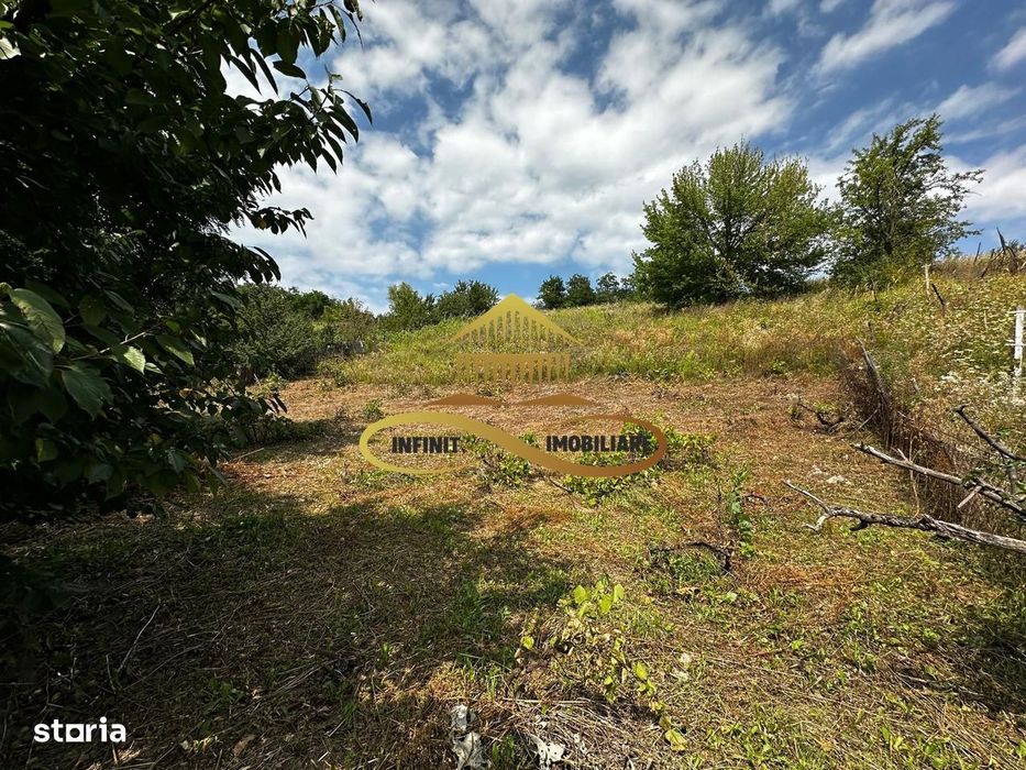 Teren extravilan 1870 mp-de vanzare 14€/mp Sohodol / Bacau