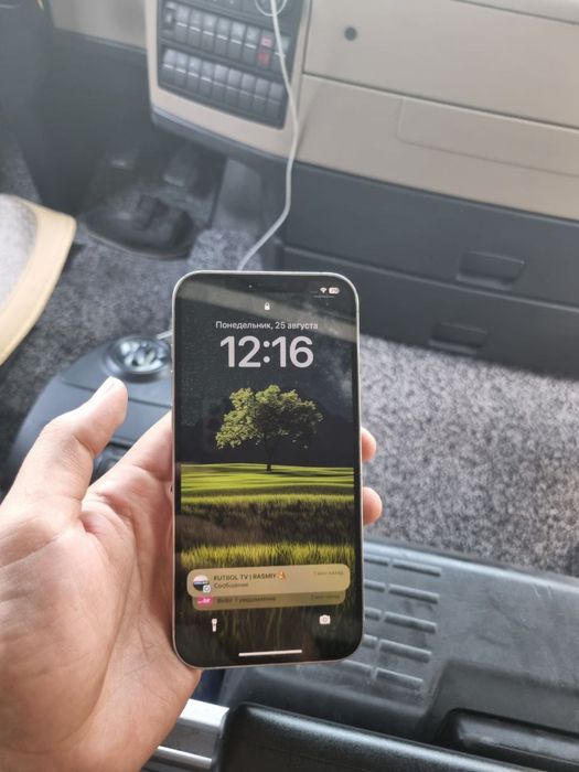 Iphone 12 Pro Max 256GB
