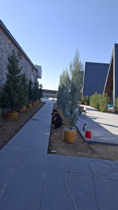 Gazon ekish xizmati sifatli xizmat