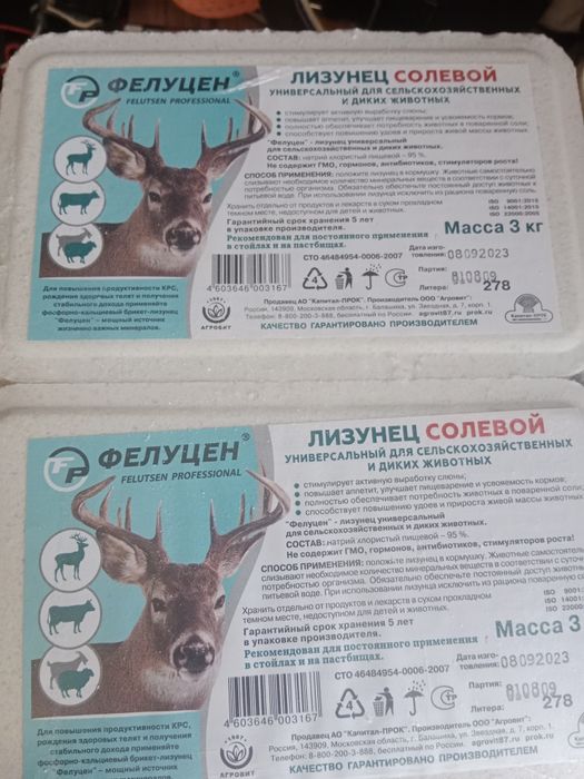 Лизунец Солевой.