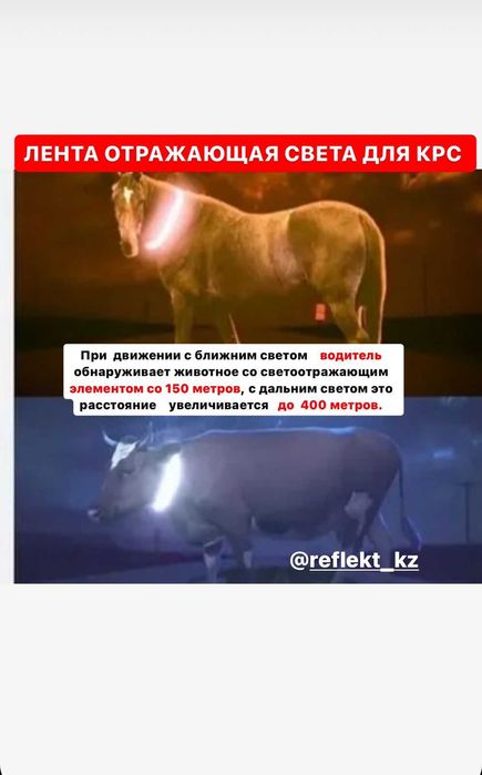 Ошейник со светоотражающей лента качественно и доступной цена Звоните!